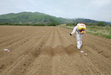 Application with a boom sprayer